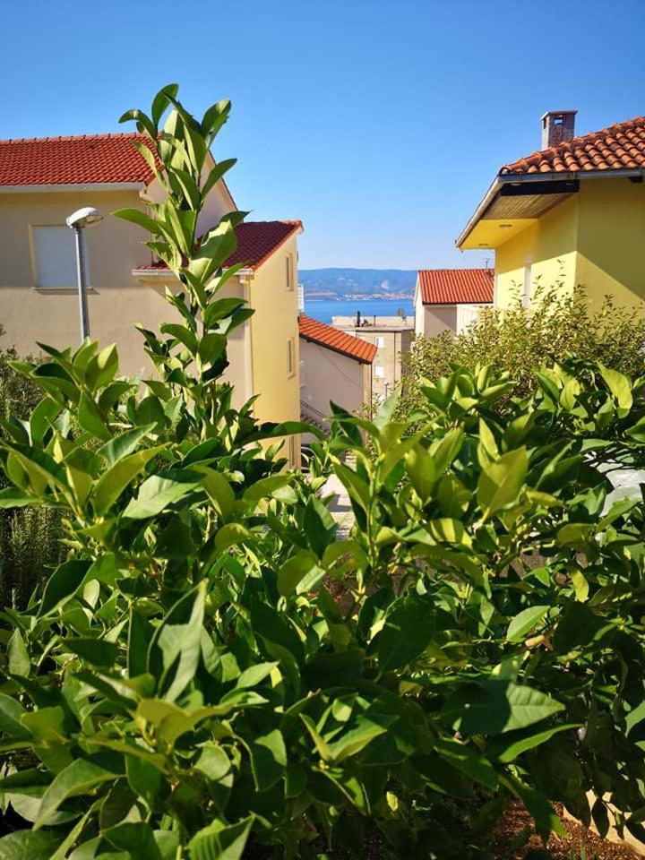 Apartmani Livajic Duće Exteriör bild